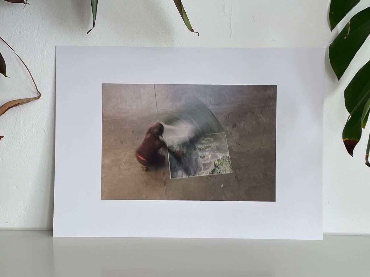 Witte Ruis, howler I